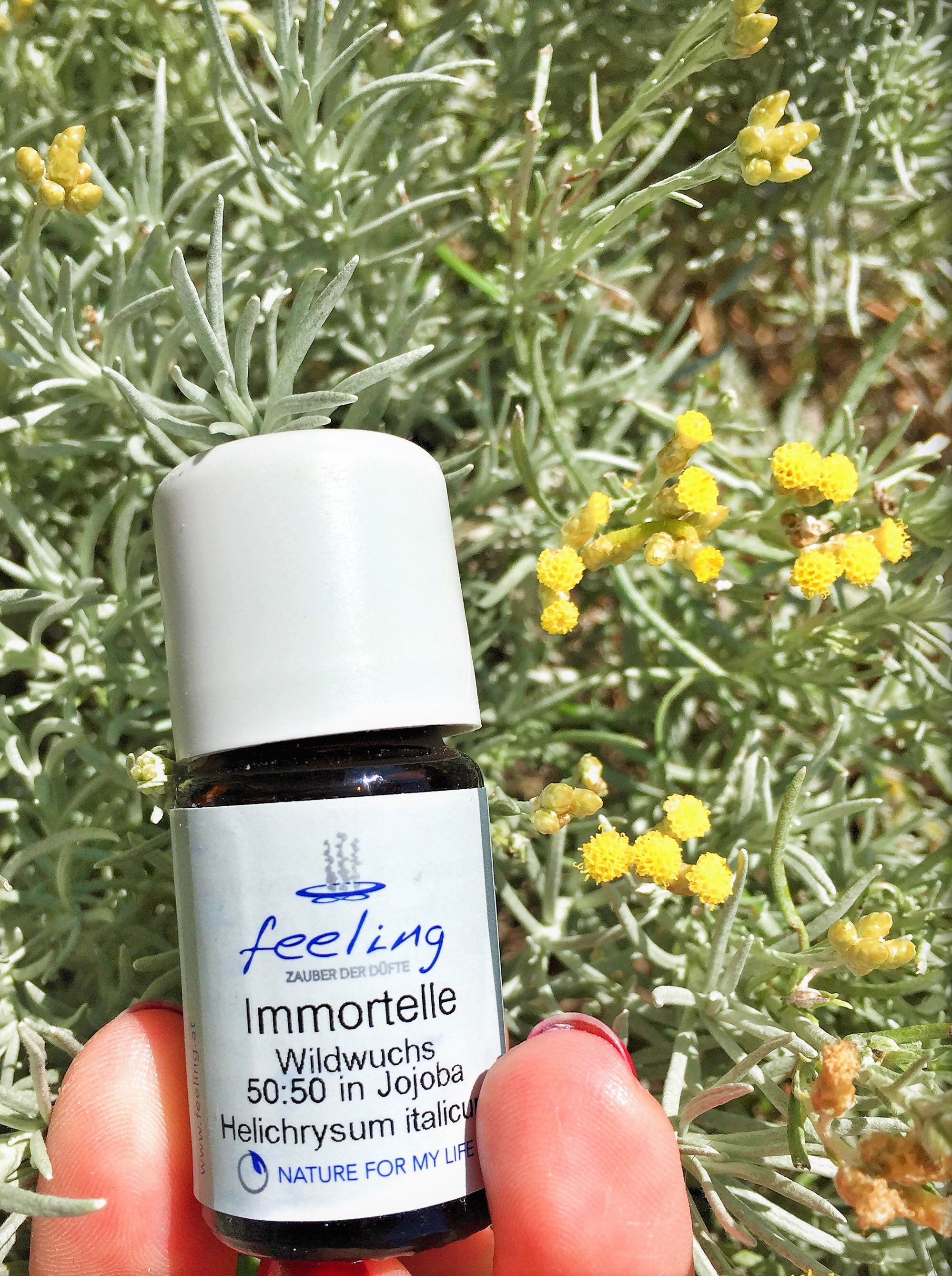 Immortelle_Blog01
