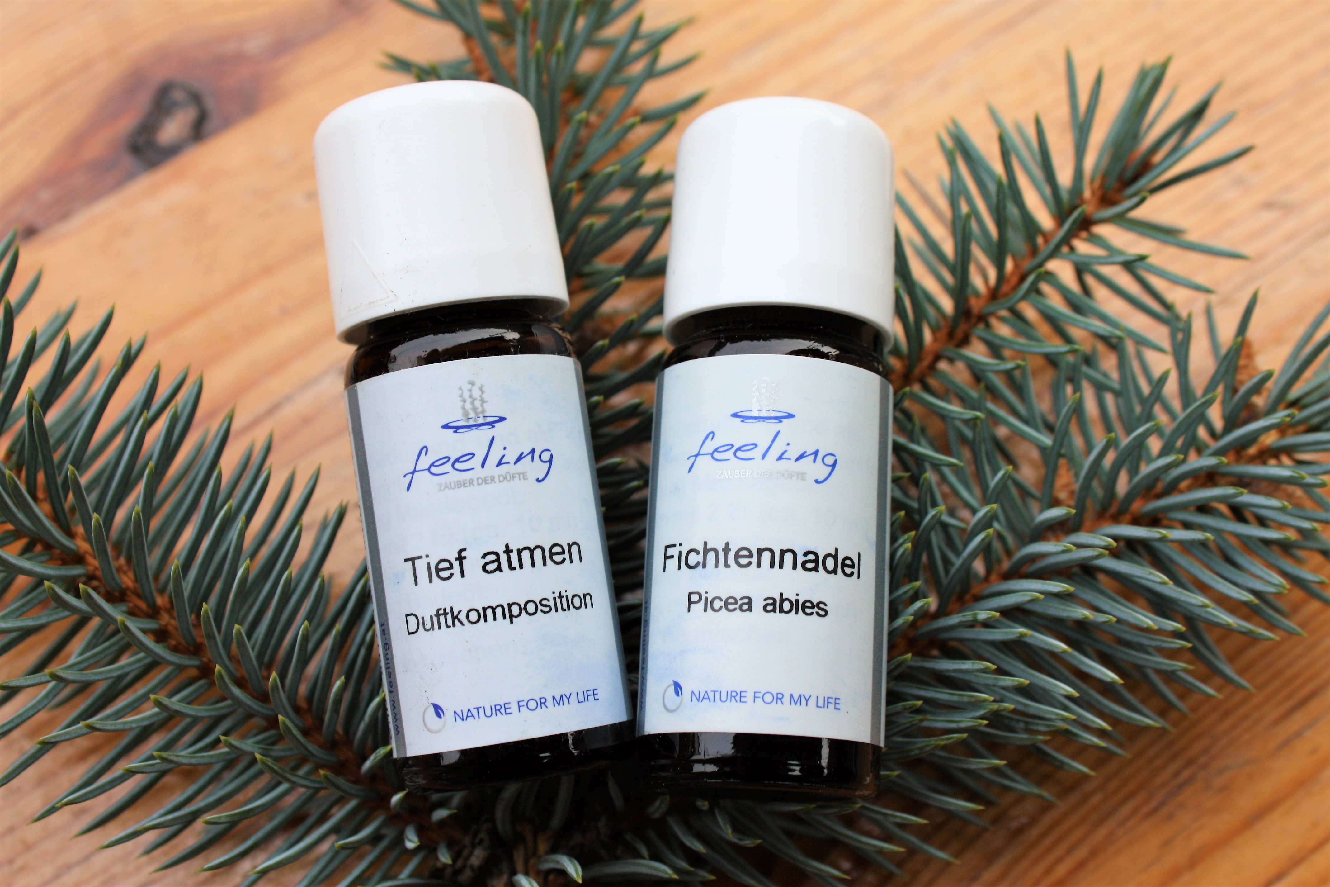 Fichte_TiefAtmen01